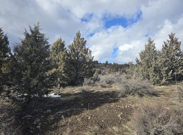 5 Drews Road, Sprague River, OR 97639