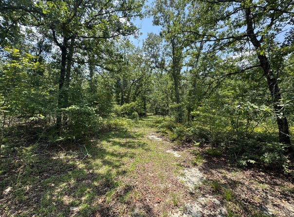 17 Acres Hard Luck Lane, Windsor, SC 29856