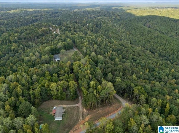 150 MULBERRY HOLLOW lot: 17, CORDOVA, AL 35550