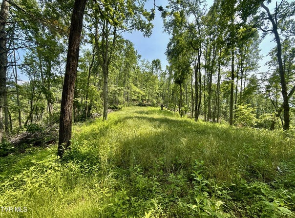 99/Ac Tbd Nw Of Copperhead Hollow Road, Mountain City, TN 37683