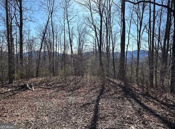 Lot 80 Asheland, Young Harris, GA 30582