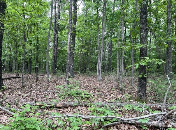 Tract W off of Meadow Creek  DR, Harrison, AR 72601
