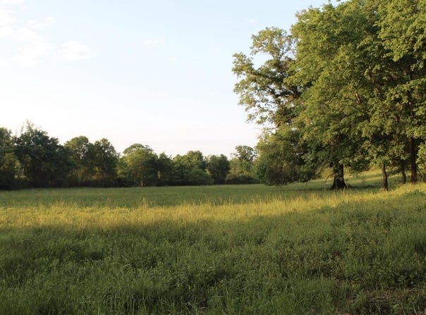 299 tract 2 harmony, Amity, AR 71921-0000
