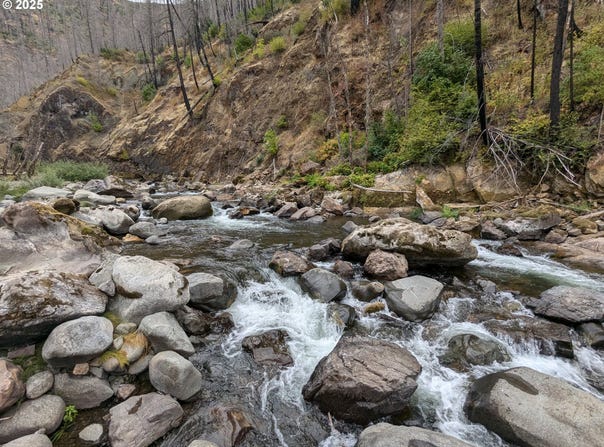 1021 ROCK CREEK RD, Idleyld Park, OR 97447
