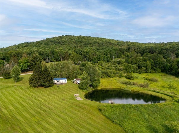 1635 Chipmunk Hollow Road, Walton, NY 13856