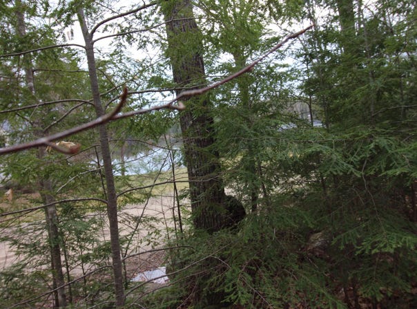 Lot 19-17 Northeast Pond Road, Milton, NH 03851