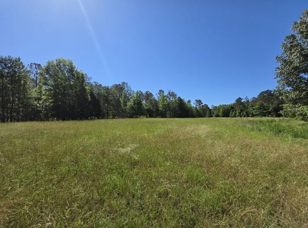 Reedy Branch Rd., Shottsville, AL 35582