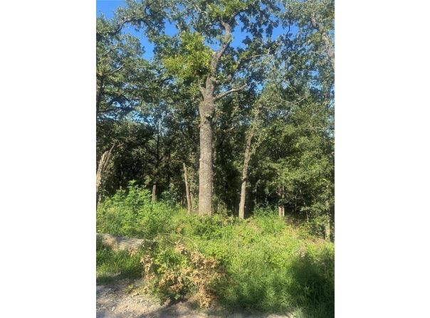 500 PR 3204, Bridgeport, TX 76426