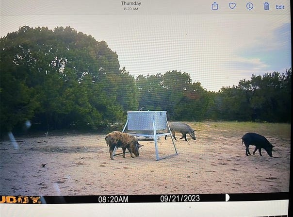 499 County Road 2410, Iredell, TX 76649