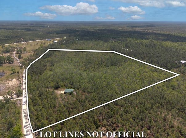 451 320th Ave, Steinhatchee, FL 32359