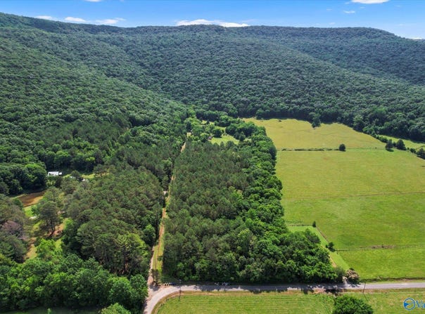 593 Sharps Hollow Road, New Market, AL 35761