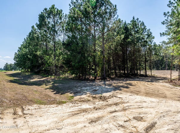 Hwy 121 lot: 3, Blackshear, GA 31516