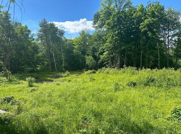 Frescoln Road lot: #4, Wentworth, NH 03282