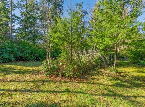 21333 BIRCH Pl, OceanPark, WA 98640