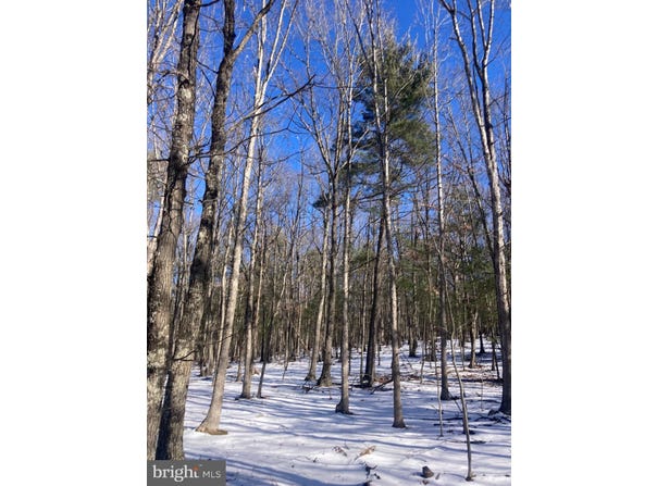 7 AC CABIN RUN RD., PAW PAW, WV 25434