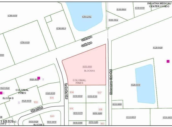 7069 CRILL Avenue, Palatka, FL 32177