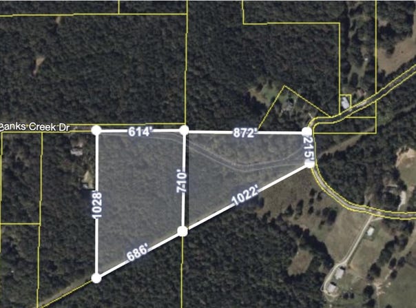 0 BANKS CREEK ROAD, WOODSTOCK, AL 35188