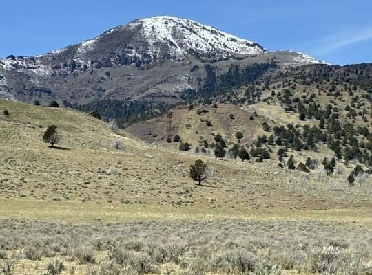 Co. Rd. 1, Eagleville, CA 96110