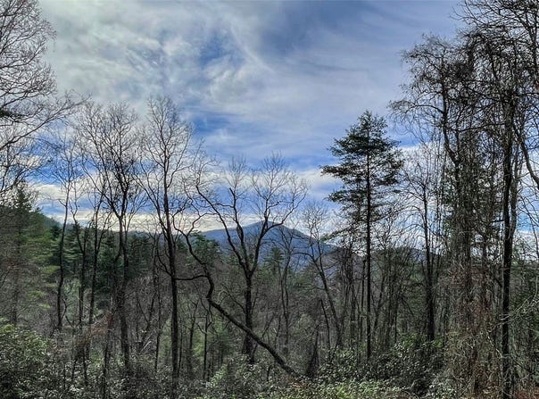 Lot 6 Hayes Trail Drive, Cashiers, NC 28717