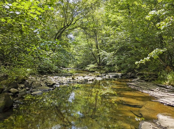 Big Spring Rd, Oneida, TN 37841