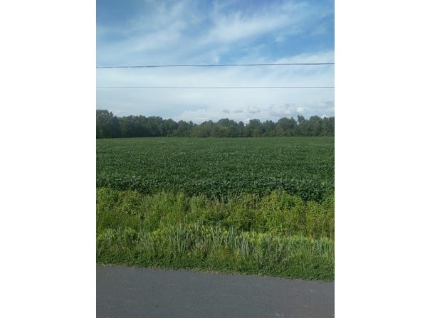 MITCHELL RD lot: 84, BLOXOM, VA 23308