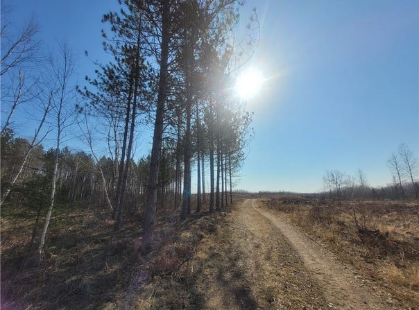 Near Knowles Road, Loretta, WI 54896
