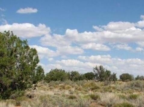 Tbd Chevelon Canyon Ranch lot 363, Heber, AZ 85928