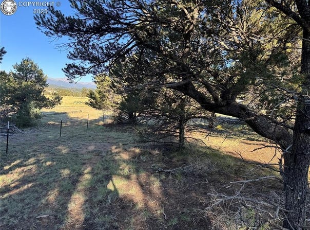 2576 K Path, Cotopaxi, CO 81223