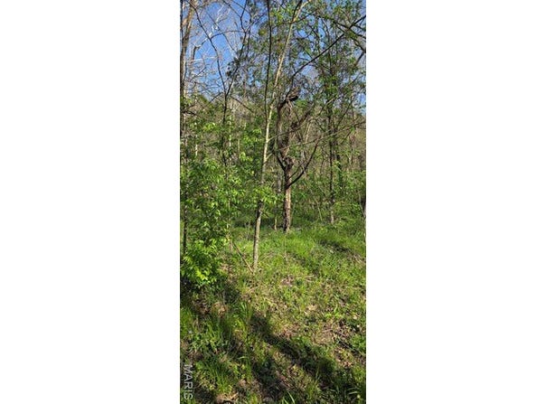 8332 Portland Lane, Dittmer, MO 63023