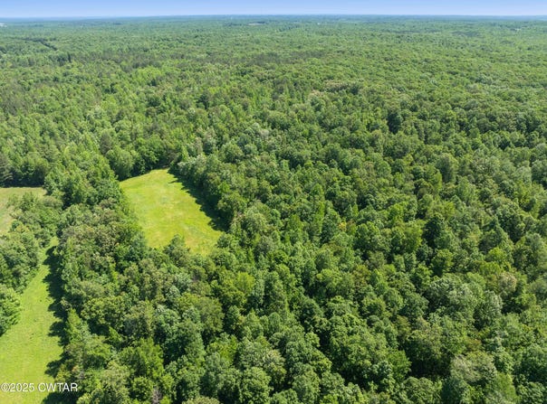 0 Hohammer Road, Holladay, TN 38341
