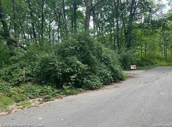 933 HAMMOND Road, Harrison, MI 48625