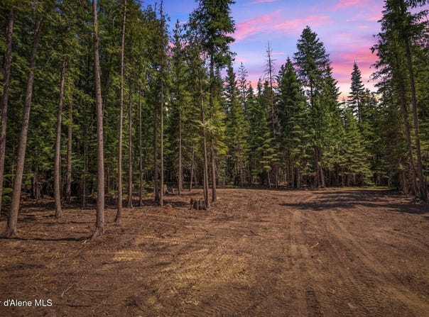 Nka Wandering Wolf Ridge, Lot 3, Clark Fork, ID 83811