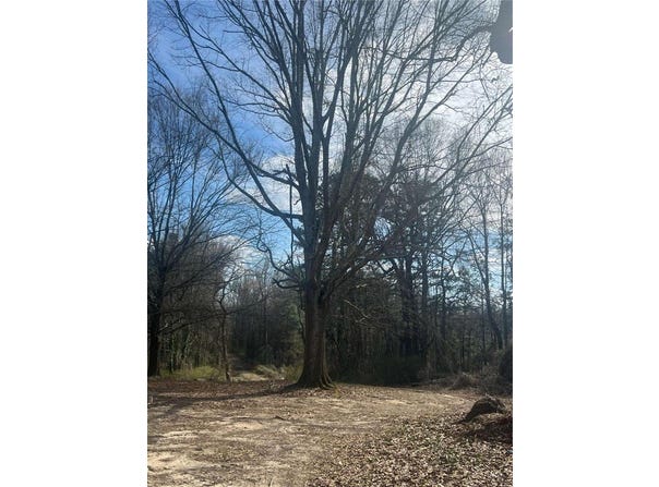 98 Pine Shadows Drive, Dallas, GA 30157