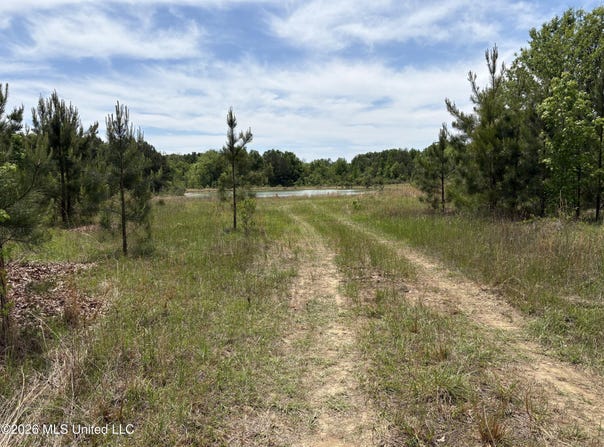 Finney Road, Canton, MS 39046