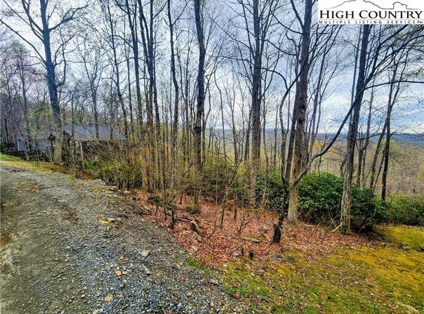 103 Bear Paw Path, Beech Mountain, NC 28604