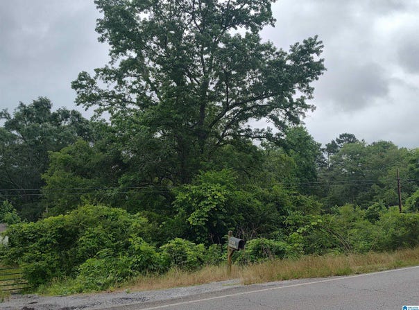 3640 LOGAN MARTIN DAM ROAD, CROPWELL, AL 35054