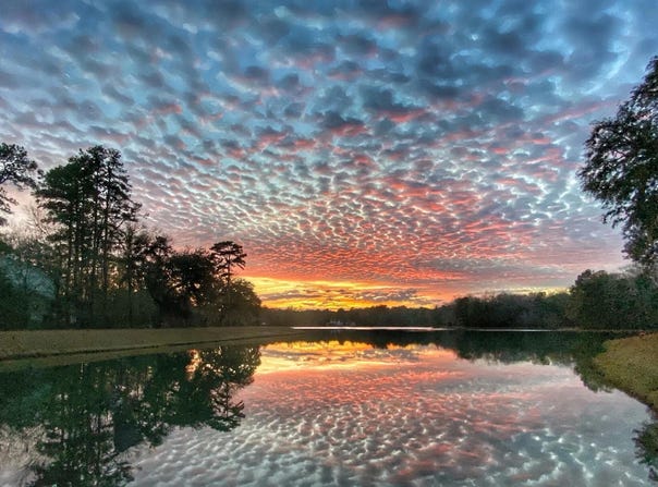 88 Tomotley Barony Drive, Seabrook, SC 29940