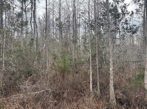 Old Grade Road, FL 33868