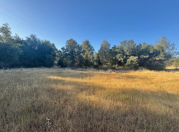333 Feather Drive, Copperopolis, CA 95228