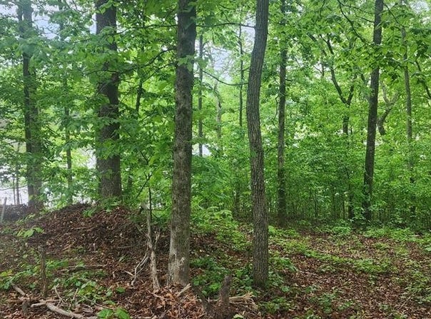 163 Davis N Lake Rd, CAMDEN, TN 38320