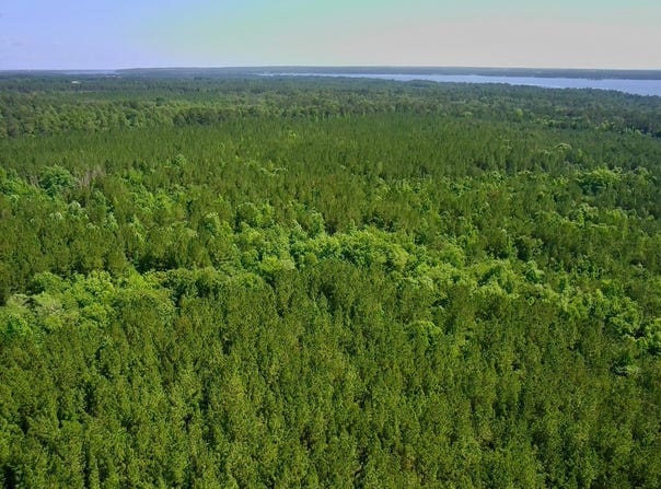 000 Pebble Cove Road, Abbeville, AL 36310