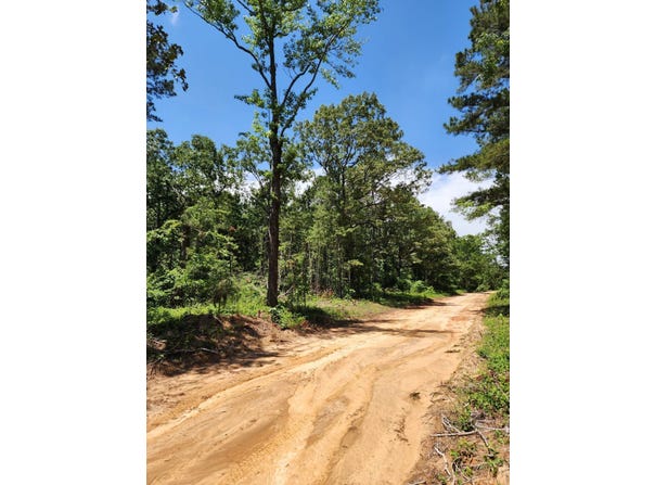 0 Carson Rd, Wrens, GA 30833