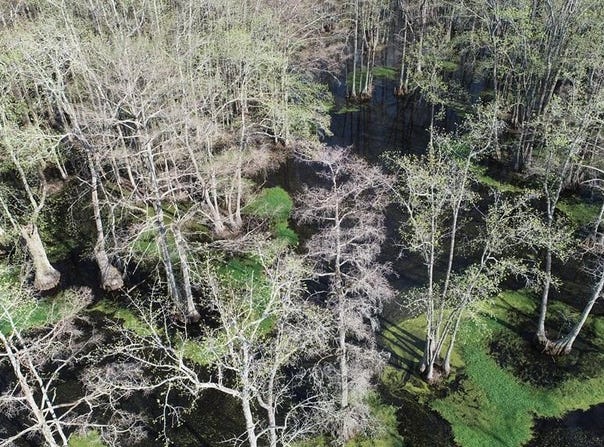 County Road 420, MS 38944