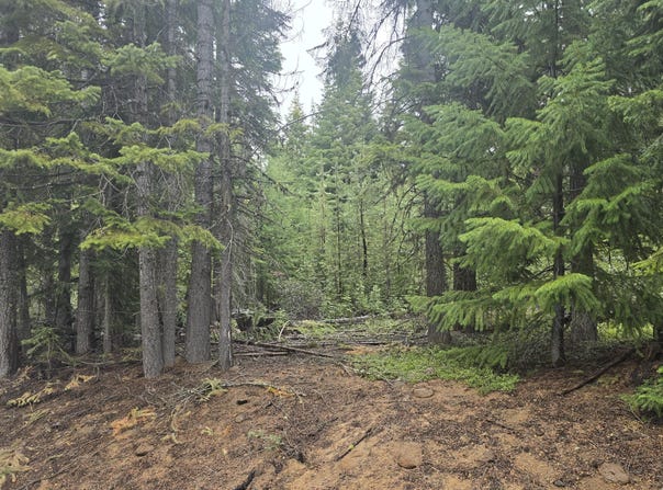 4 Royce Pine Road, Crescent Lake, OR 97733