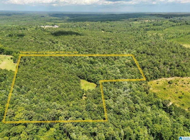HIGHWAY 82 lot: 1, MAPLESVILLE, AL 36750
