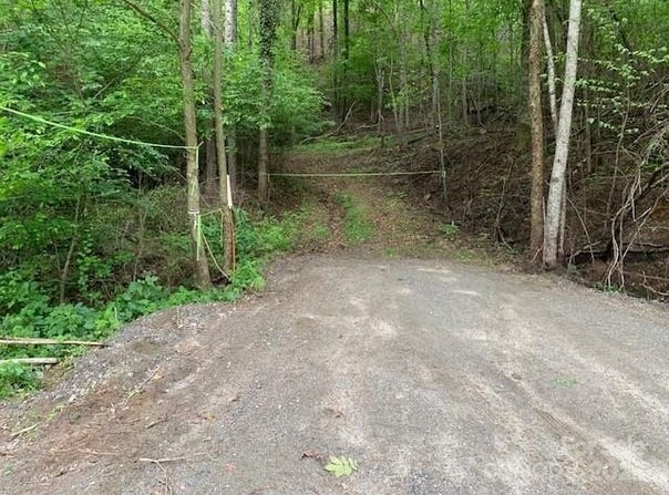 42.16 ACS GREEN RIVER COVE Road unit: 42.162 Ac., Saluda, NC 28726