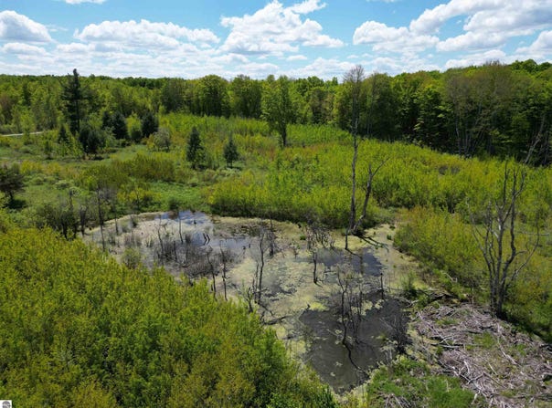 TBD 19 Mile Road, Marion, MI 49688