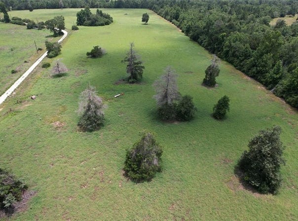 Tr 13 Private Road 1310, Centerville, TX 75833