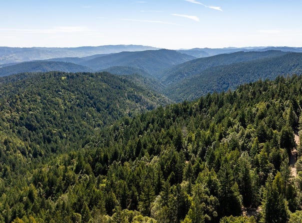 8555 Signal Ridge Road, Philo, CA 95466