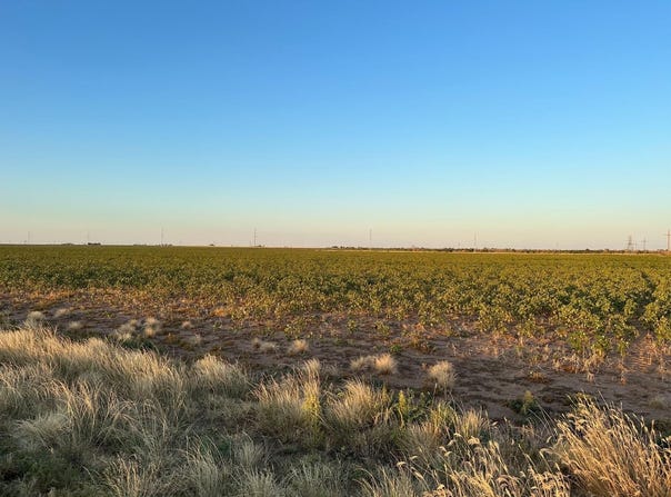 2 E County Road 5400, Lubbock, TX 79403